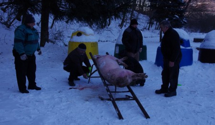 Obecná zabíjačka 1. časť 7.1.2017