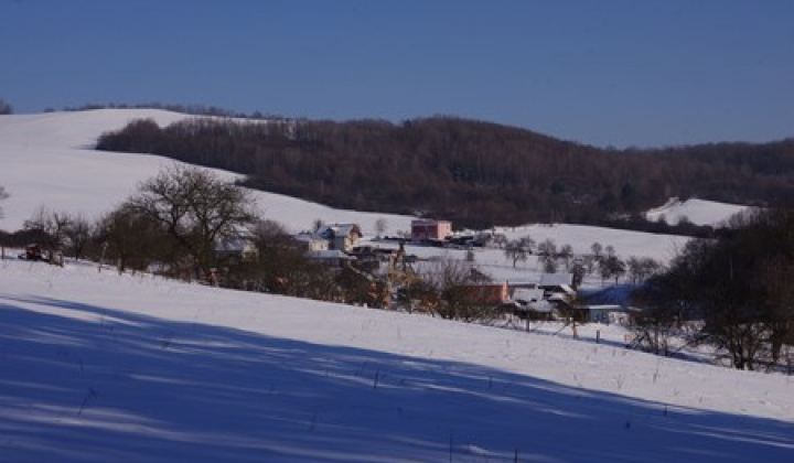 Zimný Tokajík - 7.1.2017