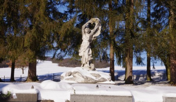 Zimný Tokajík - 7.1.2017